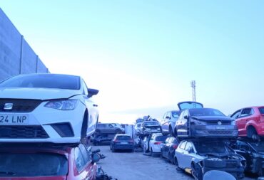 WhatsApp Image 2025-12-22 at 20.33.57