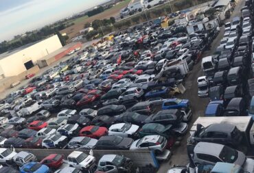 WhatsApp Image 2025-12-22 at 20.33.59